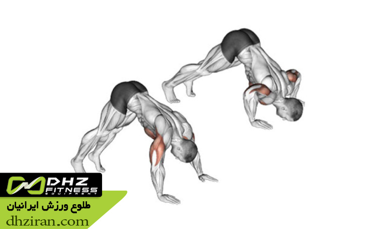 شنا سرشانه یا پایک 